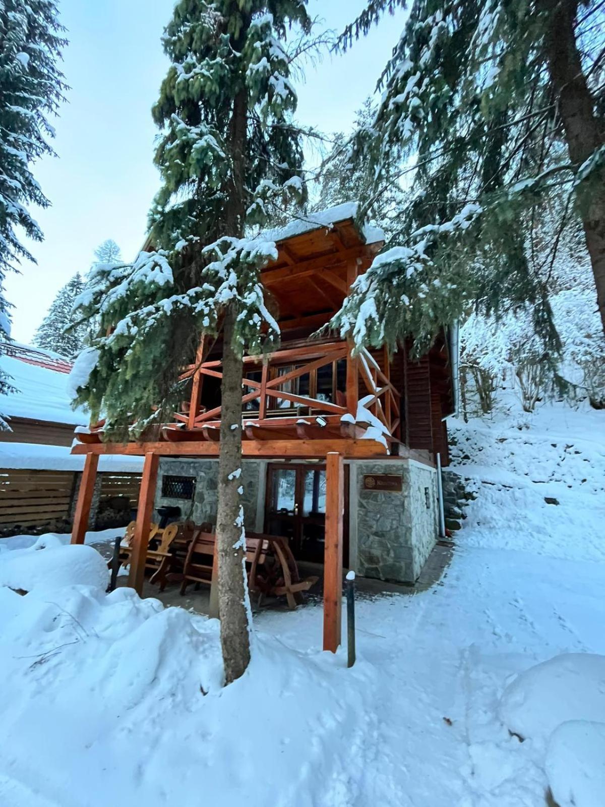 Tatrystay Chalet Kristina 데마노브스카돌리나 외부 사진